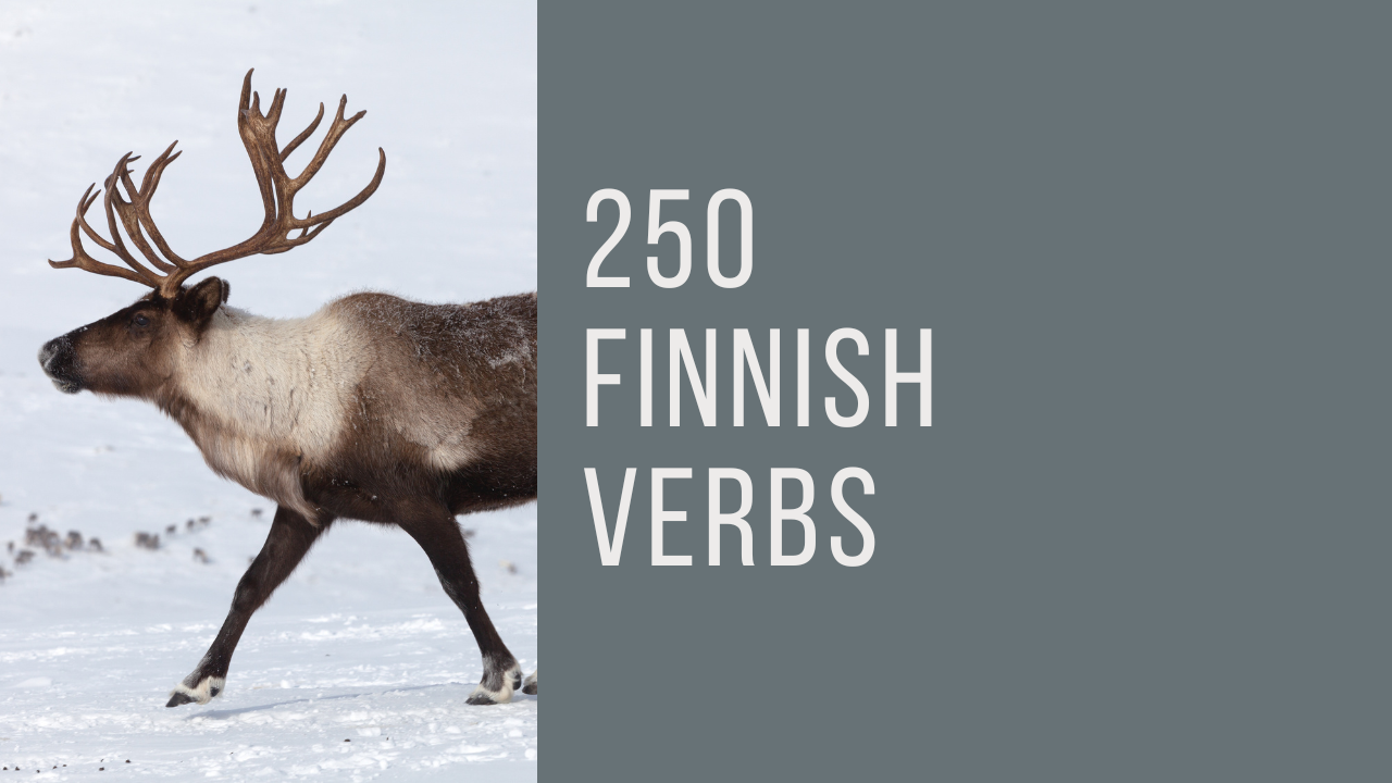250 Finnish Verbs